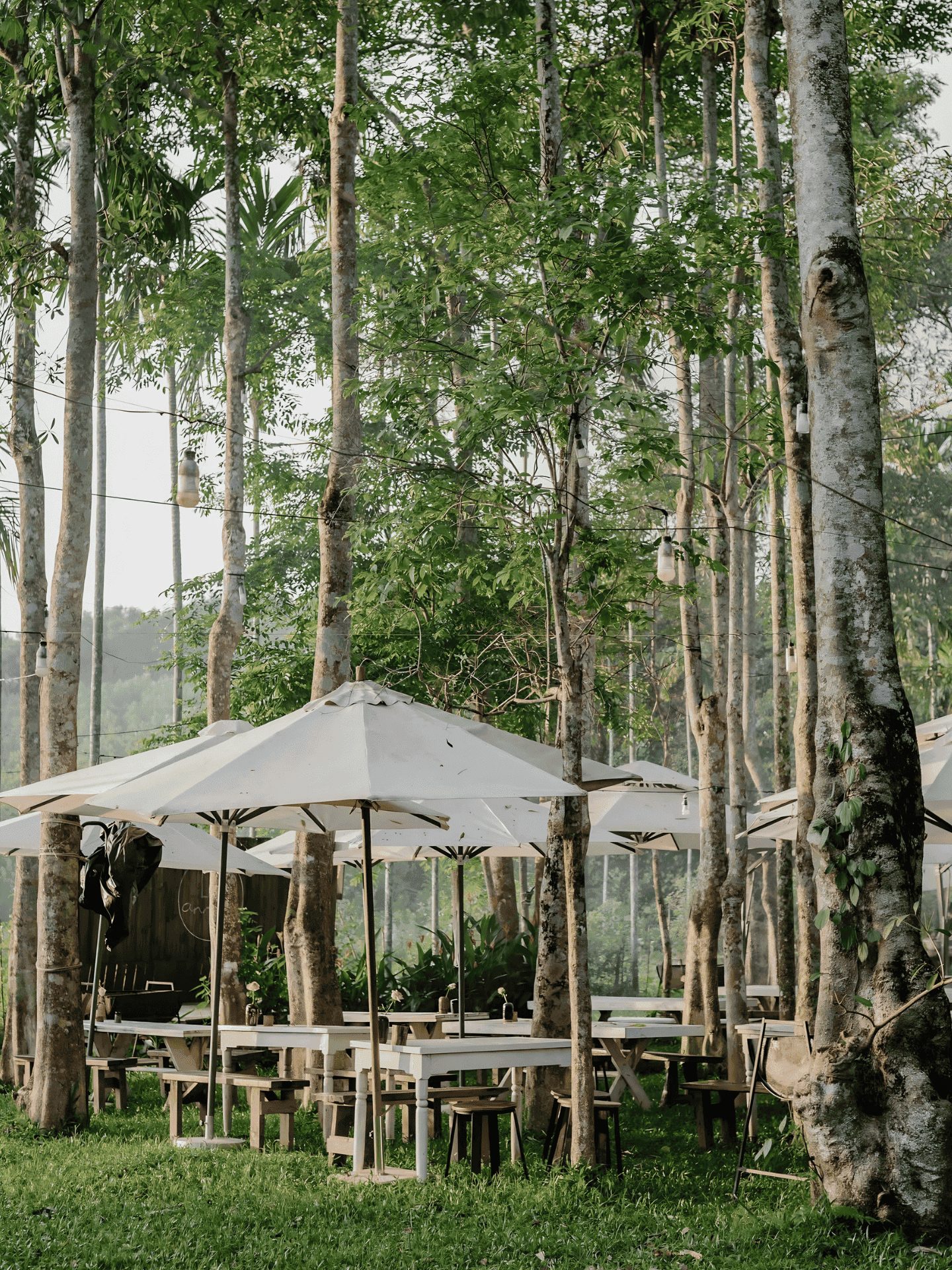 An Nhiên farm