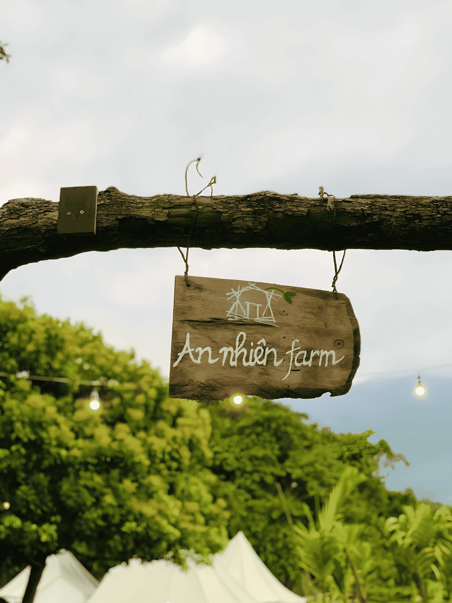 An Nhiên farm